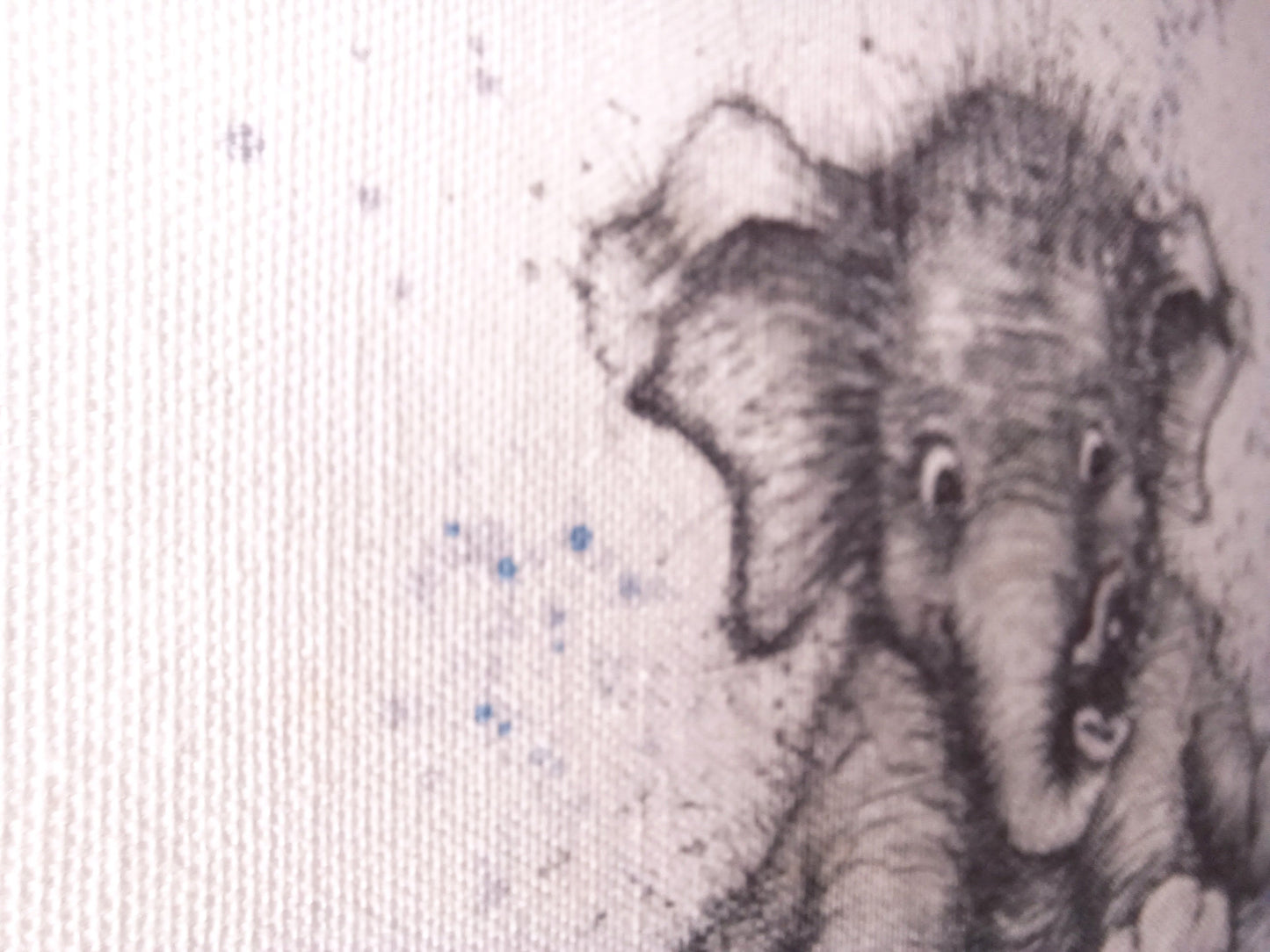 Babyposter Kleiner Elefant A4 | Bild Babyzimmer - Hallo kleines Wunder | Tiermotiv auf Leinwand